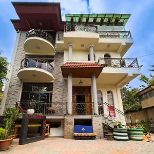 Hostel Mad Vervet Backpackers